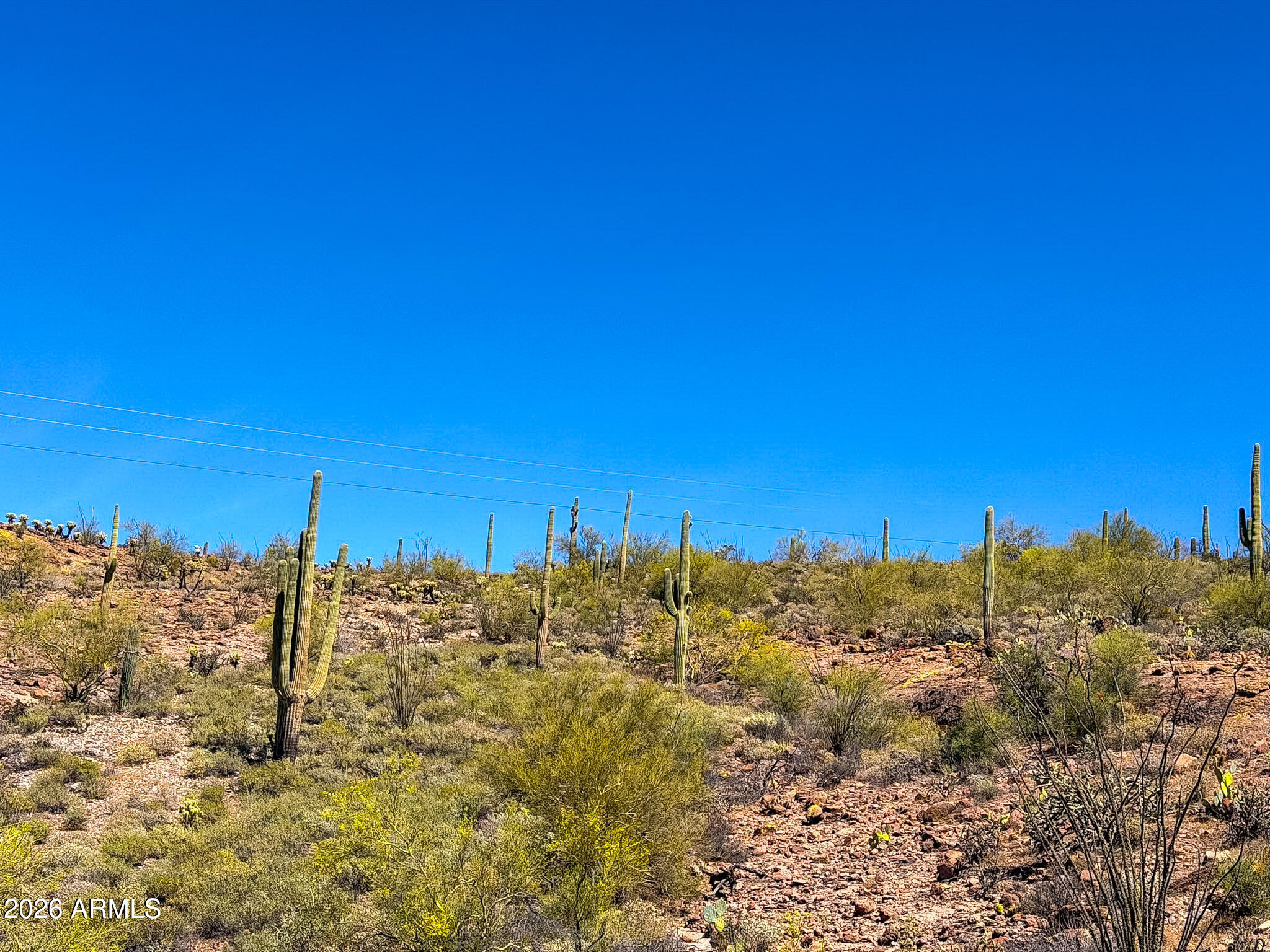0 North Elephant Butte Road Gold Canyon, AZ 85118 - Photo 23 of 30 IMG_0057