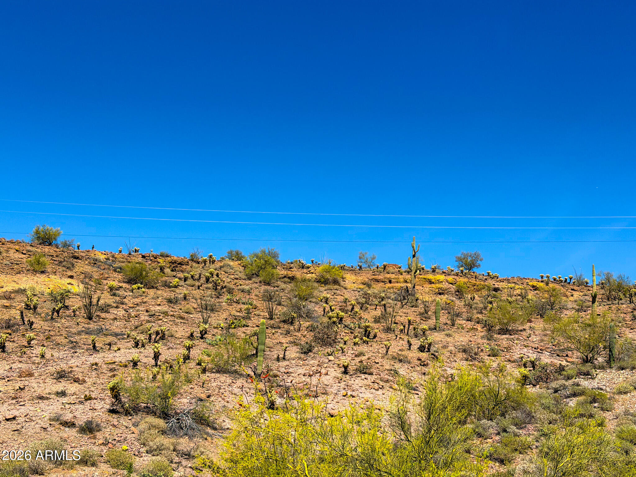 0 North Elephant Butte Road Gold Canyon, AZ 85118 - Photo 26 of 30 IMG_0062