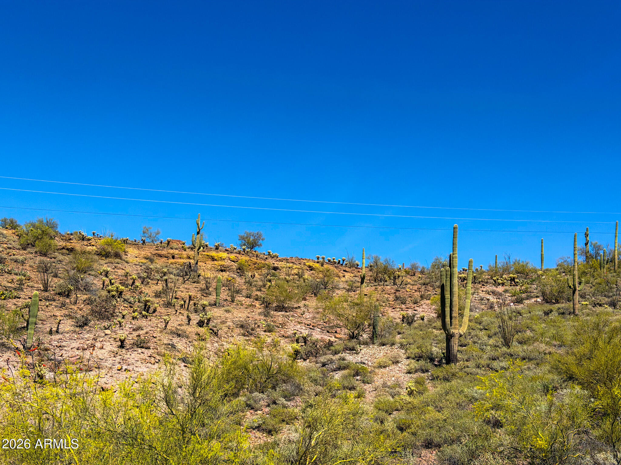 0 North Elephant Butte Road Gold Canyon, AZ 85118 - Photo 27 of 30 IMG_0063
