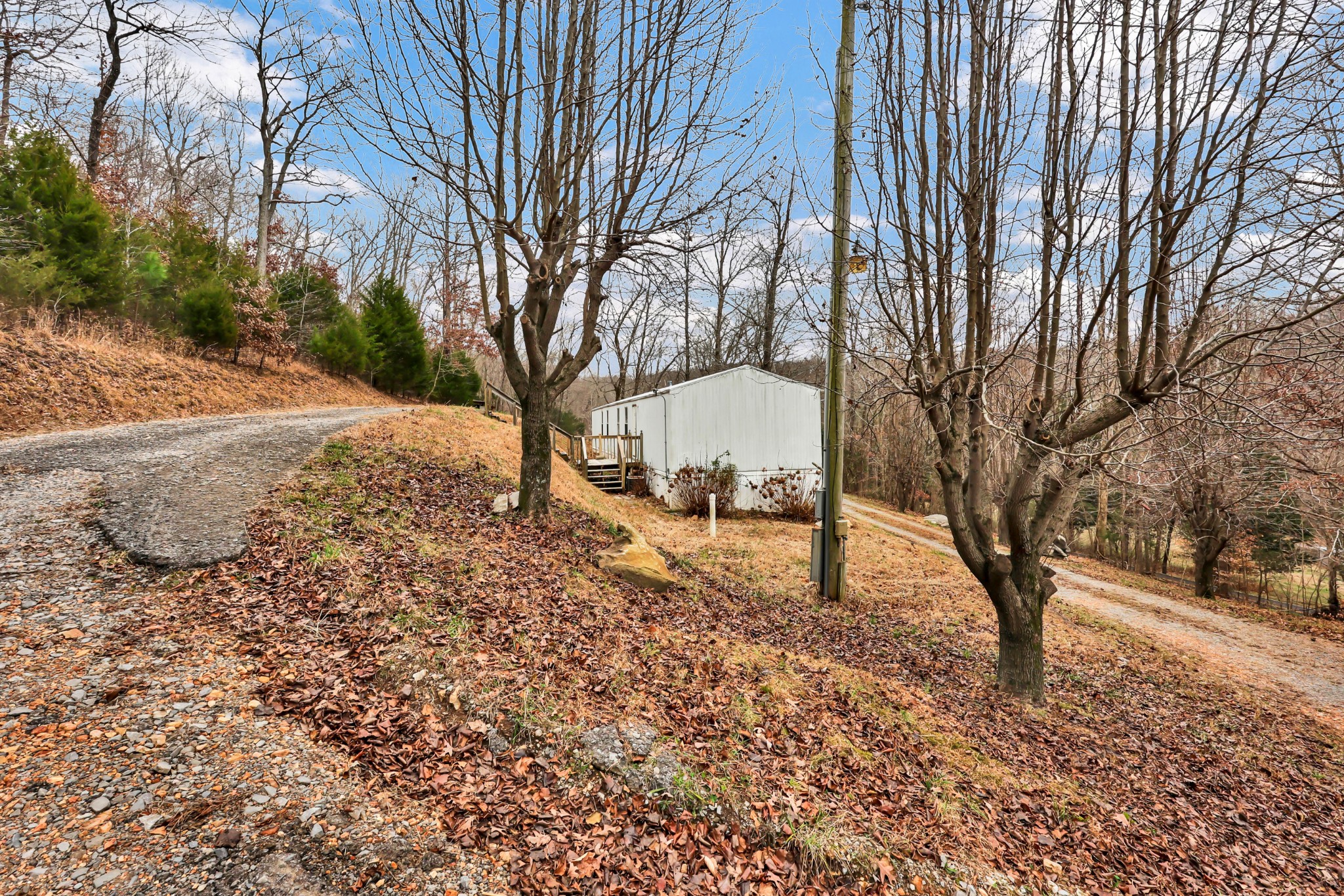 3845 Wickham Road Palmyra, TN 37142 - Photo 20 of 25 a view of a yard with plants and trees