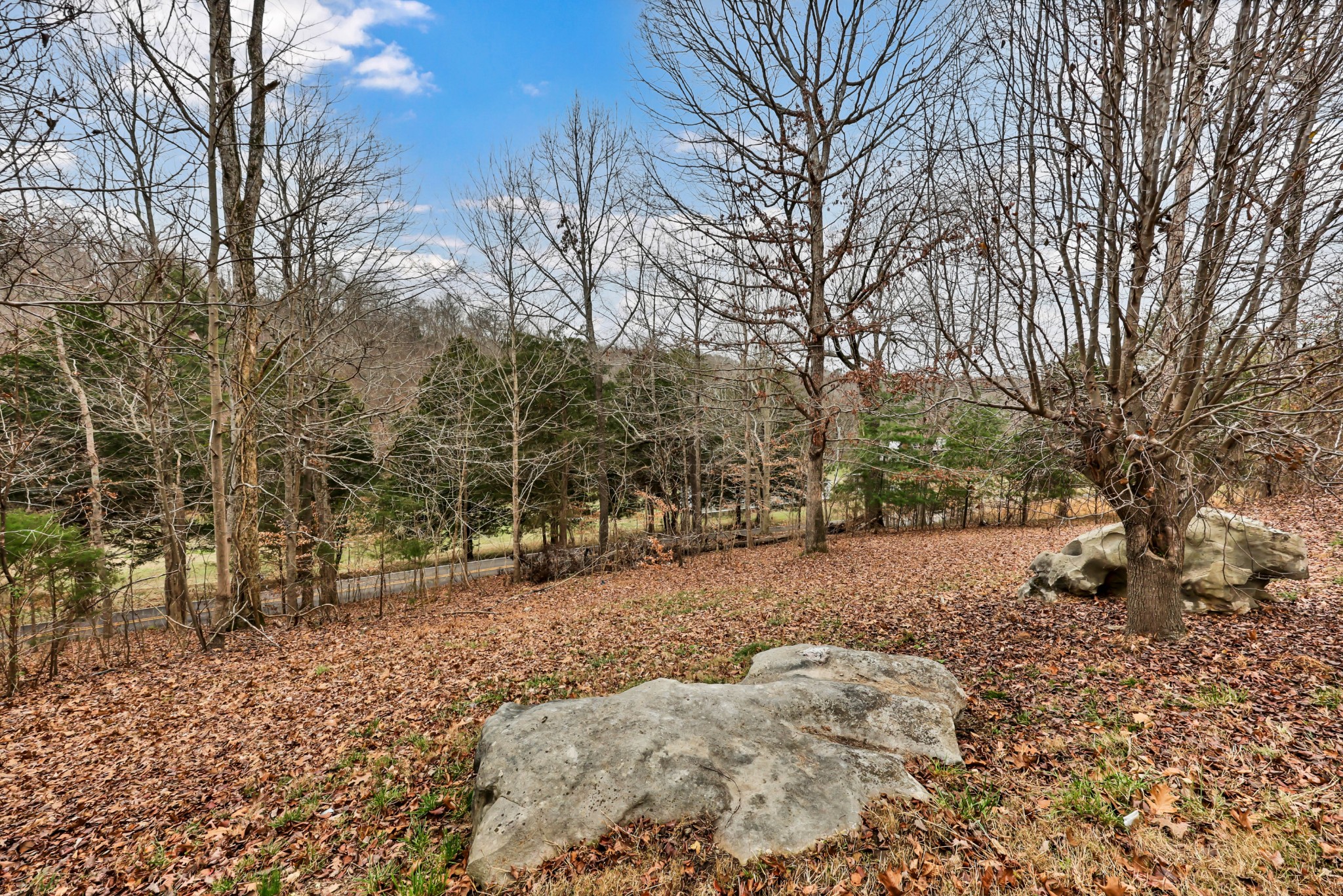 3845 Wickham Road Palmyra, TN 37142 - Photo 21 of 25 a view of a yard covered with snow in the yard