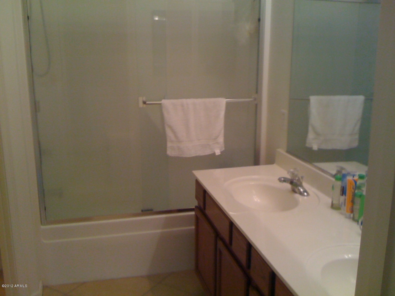 5435 West Grenadine Road Laveen, AZ 85339 - Photo 5 of 6 Master Bathroom