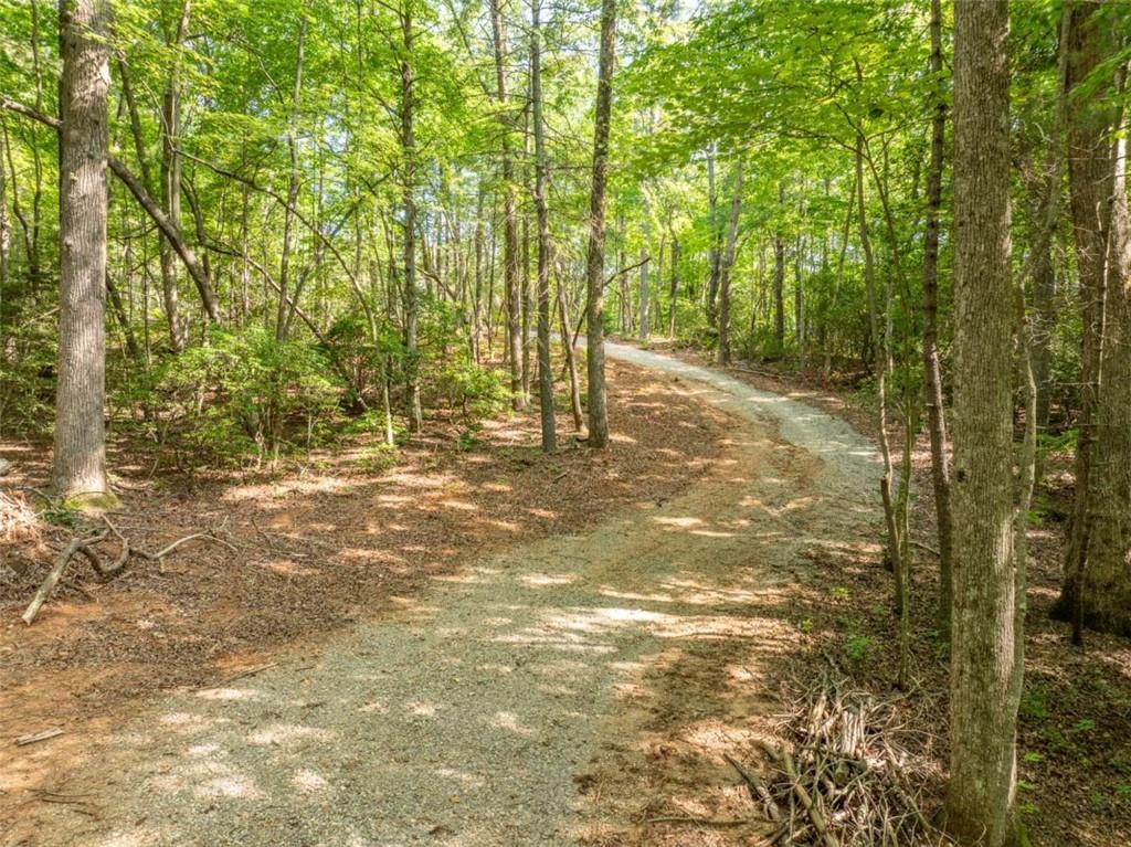 1298 Cold Stream Trail Jasper, GA 30143 - Photo 10 of 57