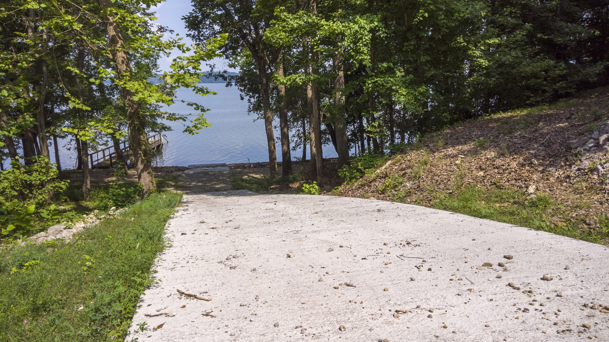 0 Lake Trail Waverly, TN 37185 - Photo 2 of 8 a view of a yard with plants and trees