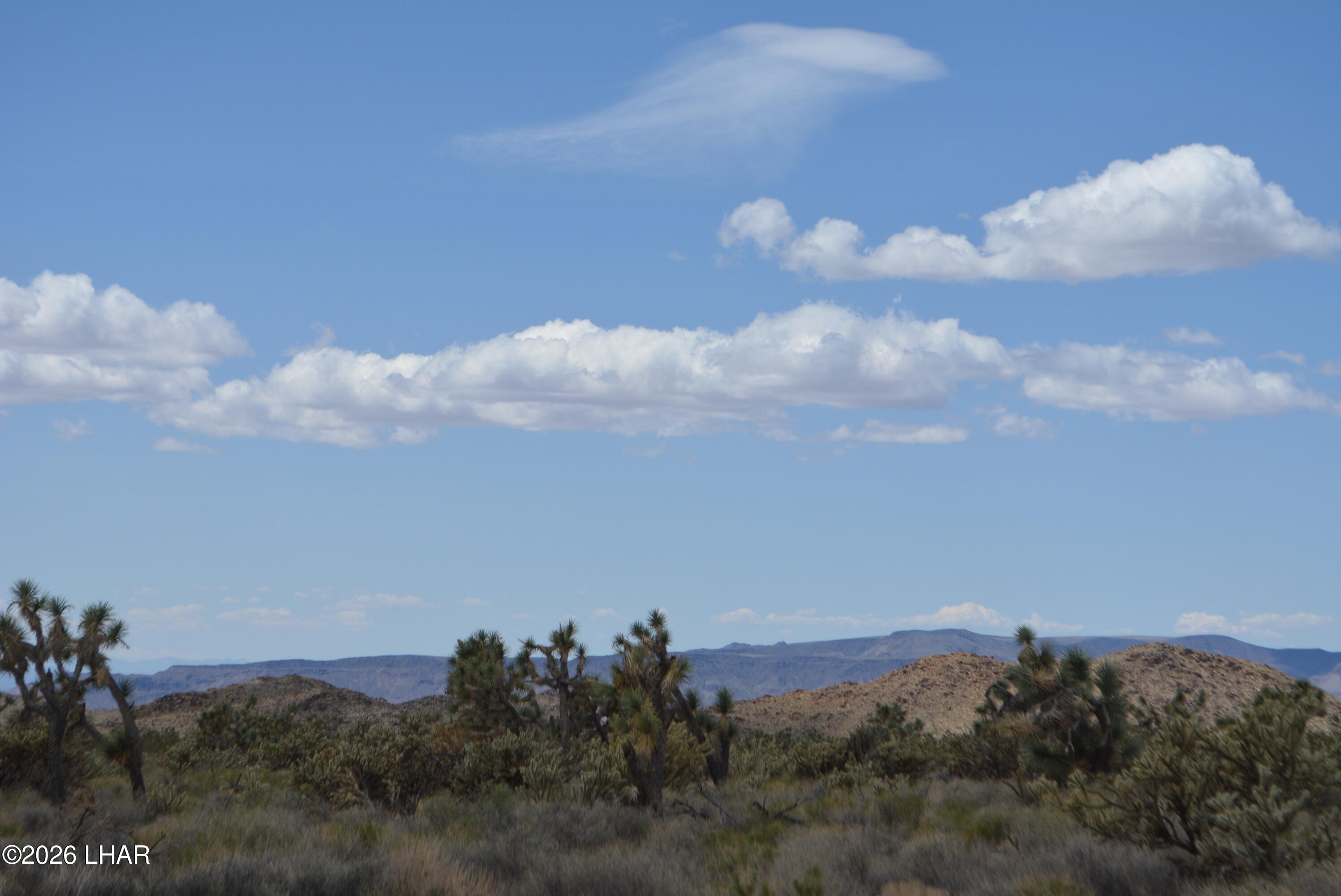 11900 Alan Road Yucca, AZ 86438 - Photo 86 of 93 DSC_1392