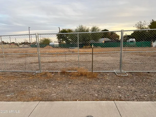 a view of a dry yard
