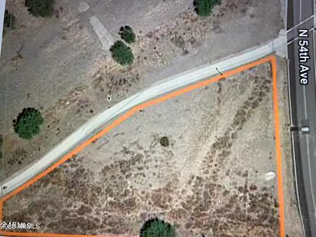 a wooden floor with a large trees in the background