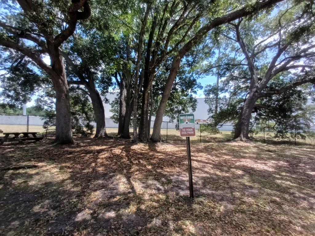 4148 Pershing Pointe Place, Unit 1 Orlando, FL 32822 - Photo 32 of 33 a view of a tree in the middle of a yard