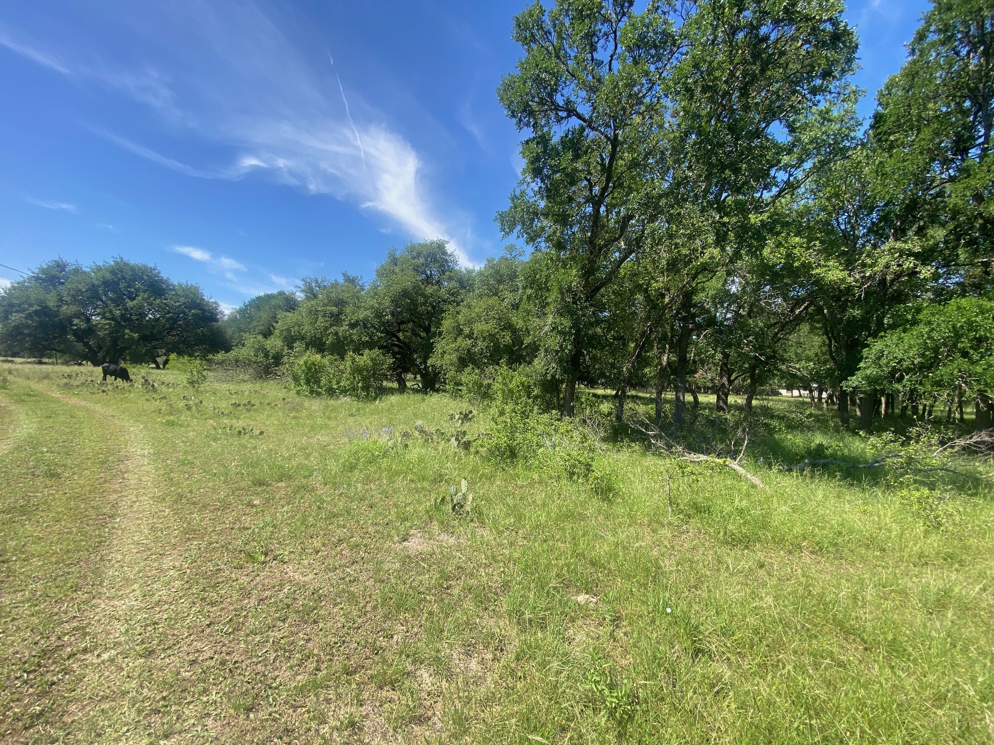 3215 County Road 305 Jarrell, TX 76537 - Photo 20 of 23