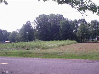 999999 Cable Line Road Newton Falls, OH 44444 - Photo 1 of 1 Gallery Image 1