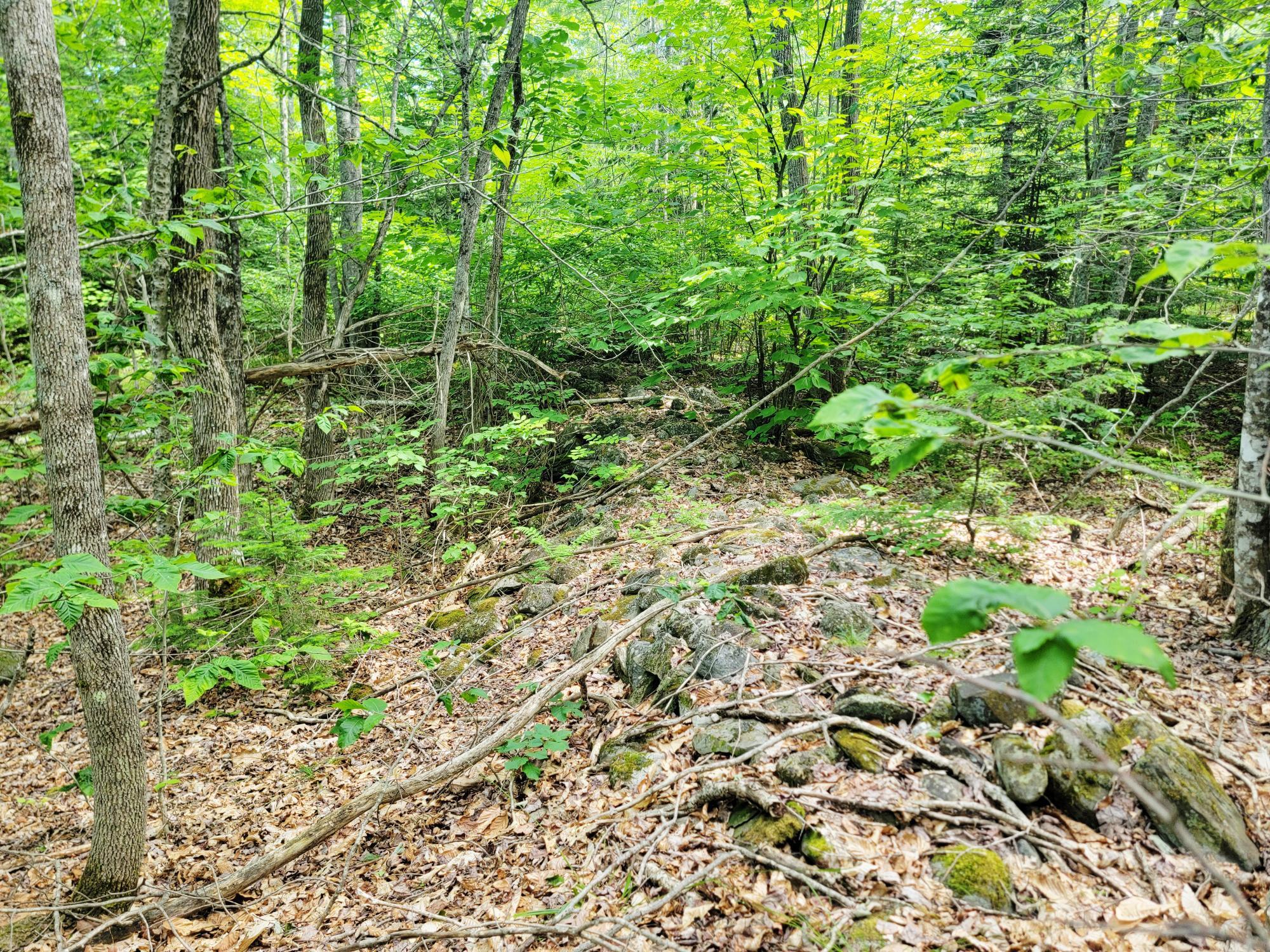 477 Hadley Mill Road Jackson, ME 04921 - Photo 13 of 32
