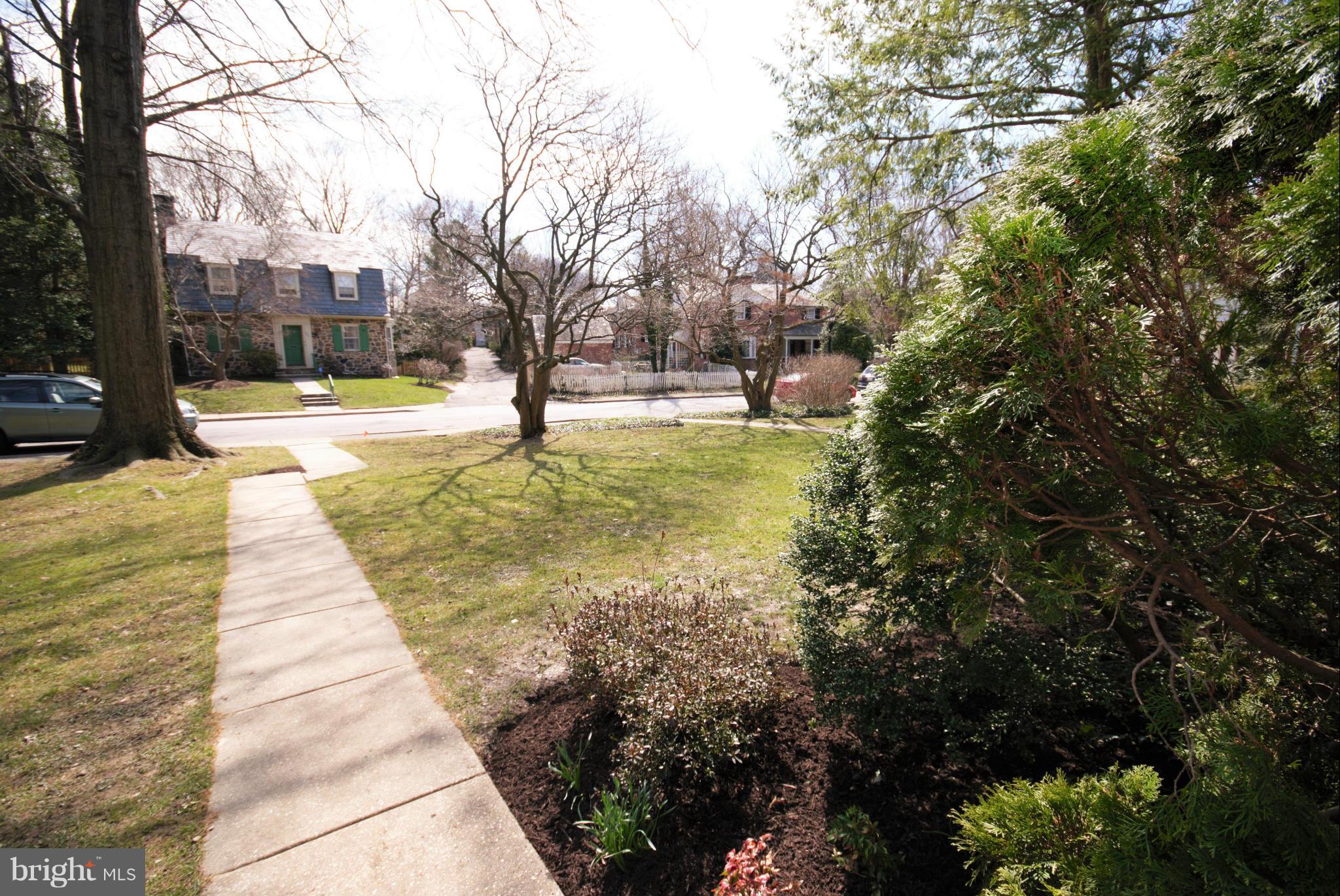 326 Paddington Road Baltimore, MD 21212 - Photo 23 of 29 a view of yard with swimming pool and trees