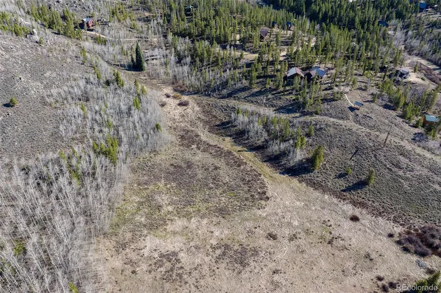 a view of a dry yard with trees and bushes
