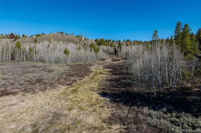 a view of a yard with a tree