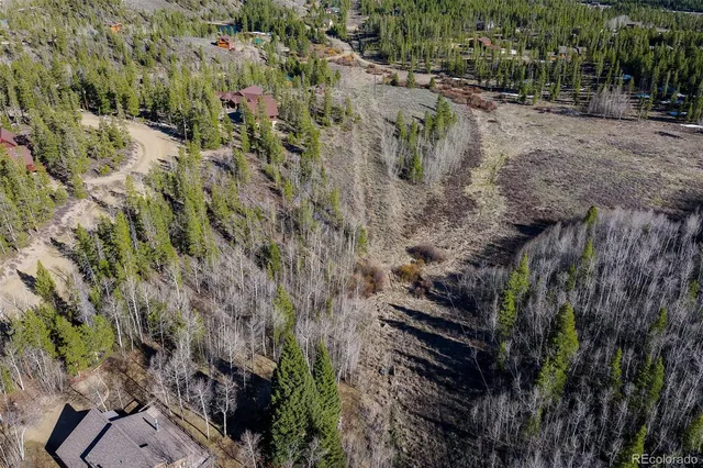 a view of path along with trees