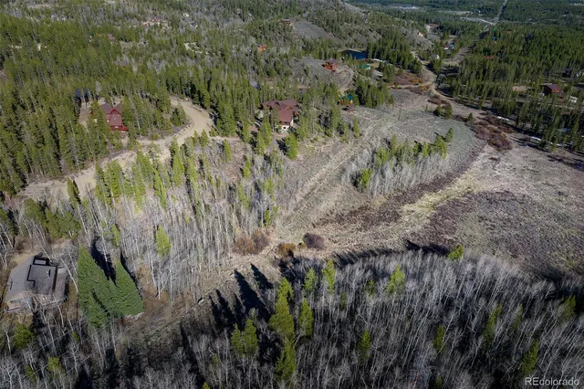 a view of a yard with plants and large trees