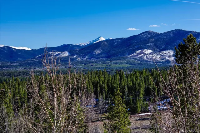 a view of a backyard with a street