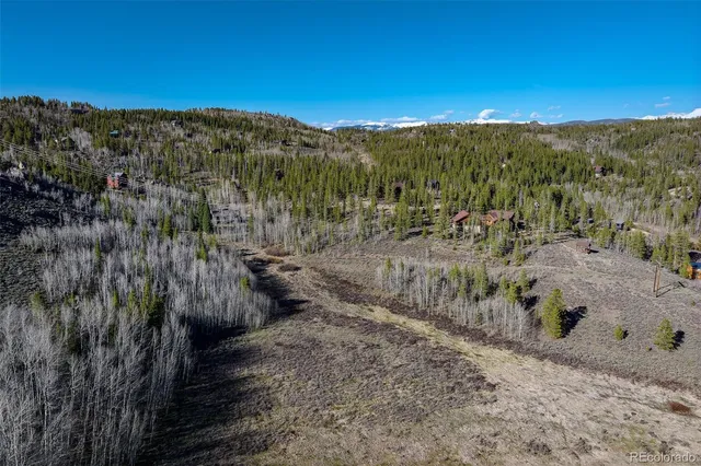 a view of a dry yard