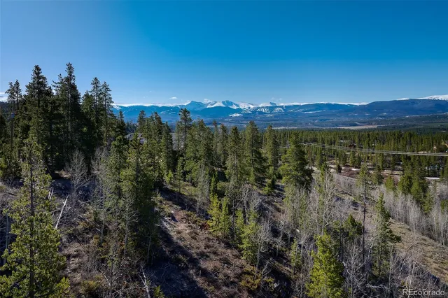 a view of a lake with a forest
