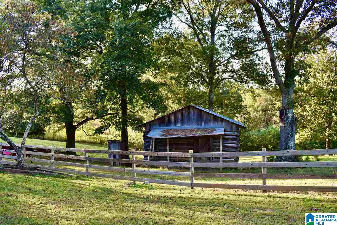 2441 Old Hayden Road Warrior, AL 35180 - Photo 13 of 42