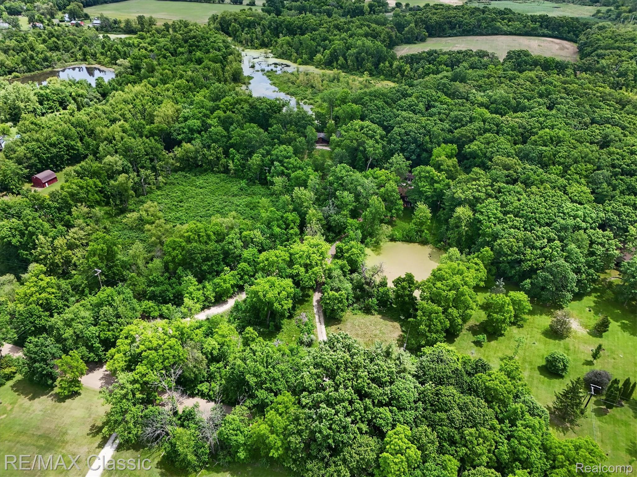 12189 Gage Road Holly, MI 48442 - Photo 64 of 69 Expansive wooded grounds featuring a natural pond and a winding path