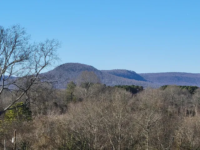 $199,900 | 408 Nellis Avenue, Bridgeport, AL 35740