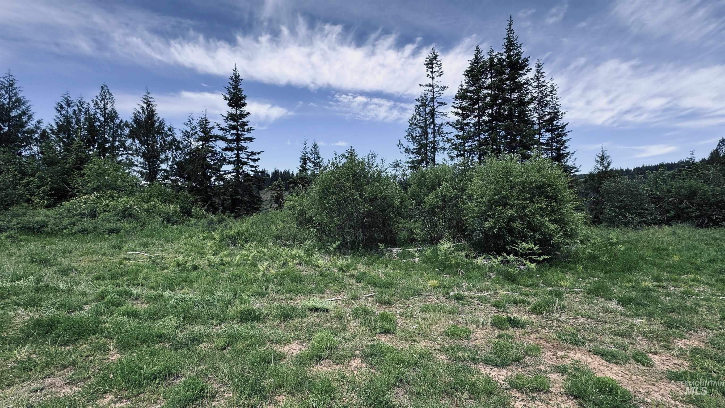 Tbd Glenwood Road Kamiah, ID 83536 - Photo 45 of 50