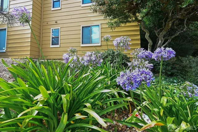 $699,000 | 305 Oak Court, Daly City, CA 94014