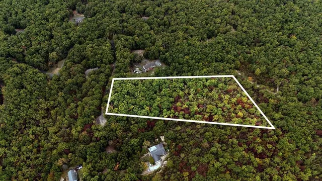 $133,500 | Tbd Mountain Ridge Lane, Waynesboro, VA 22980