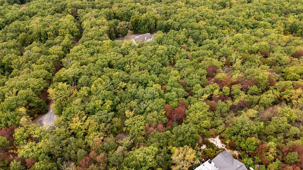 Tbd Mountain Ridge Lane Waynesboro, VA 22980 - Photo 13 of 15