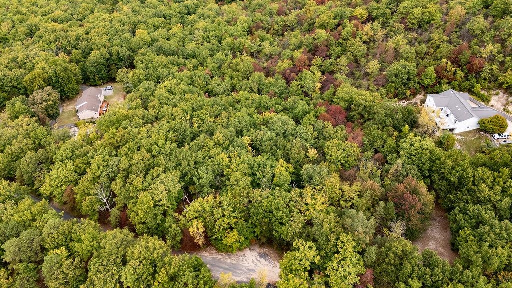 Tbd Mountain Ridge Lane Waynesboro, VA 22980 - Photo 14 of 15