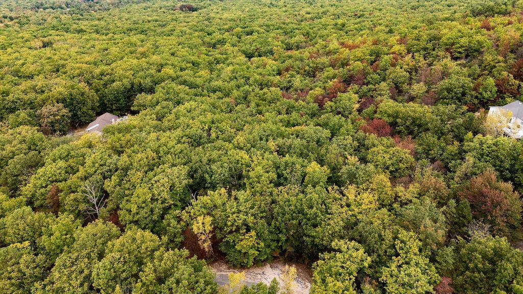 Tbd Mountain Ridge Lane Waynesboro, VA 22980 - Photo 15 of 15