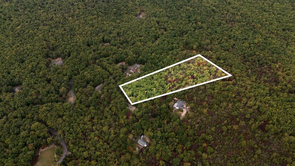 Tbd Mountain Ridge Lane Waynesboro, VA 22980 - Photo 2 of 15