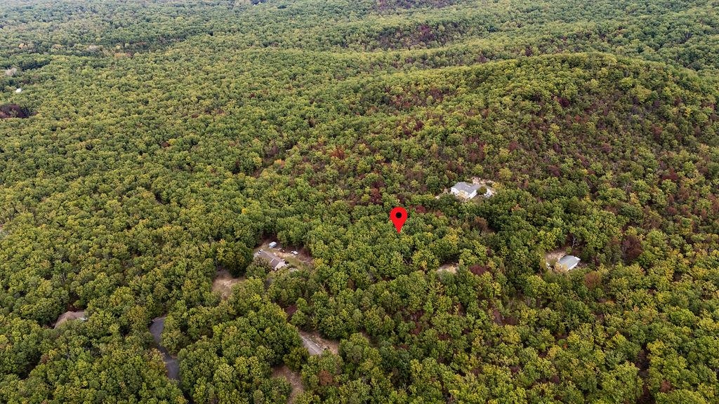 Tbd Mountain Ridge Lane Waynesboro, VA 22980 - Photo 6 of 15