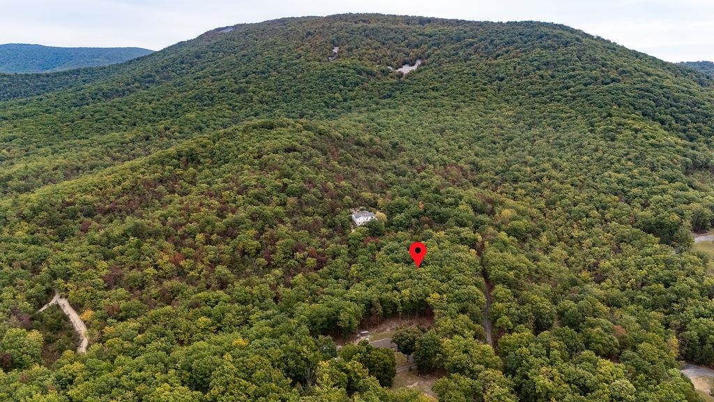 Tbd Mountain Ridge Lane Waynesboro, VA 22980 - Photo 8 of 15