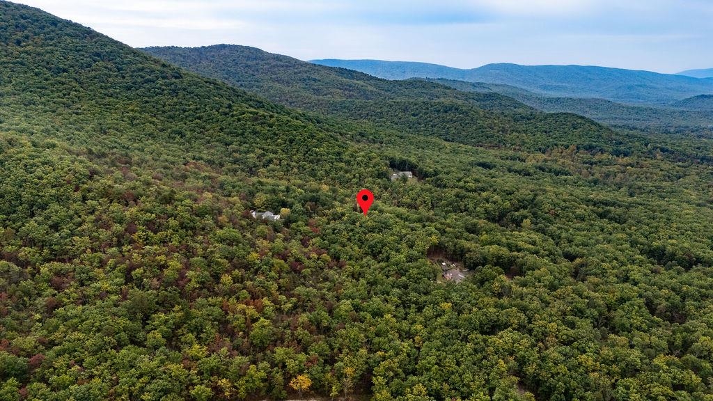 Tbd Mountain Ridge Lane Waynesboro, VA 22980 - Photo 9 of 15
