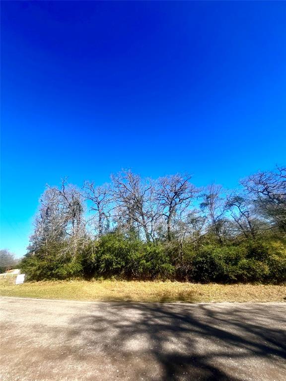 799 LCR 799, Unit 2 Groesbeck, TX 76642 - Photo 3 of 9 a view of a yard with a mountain