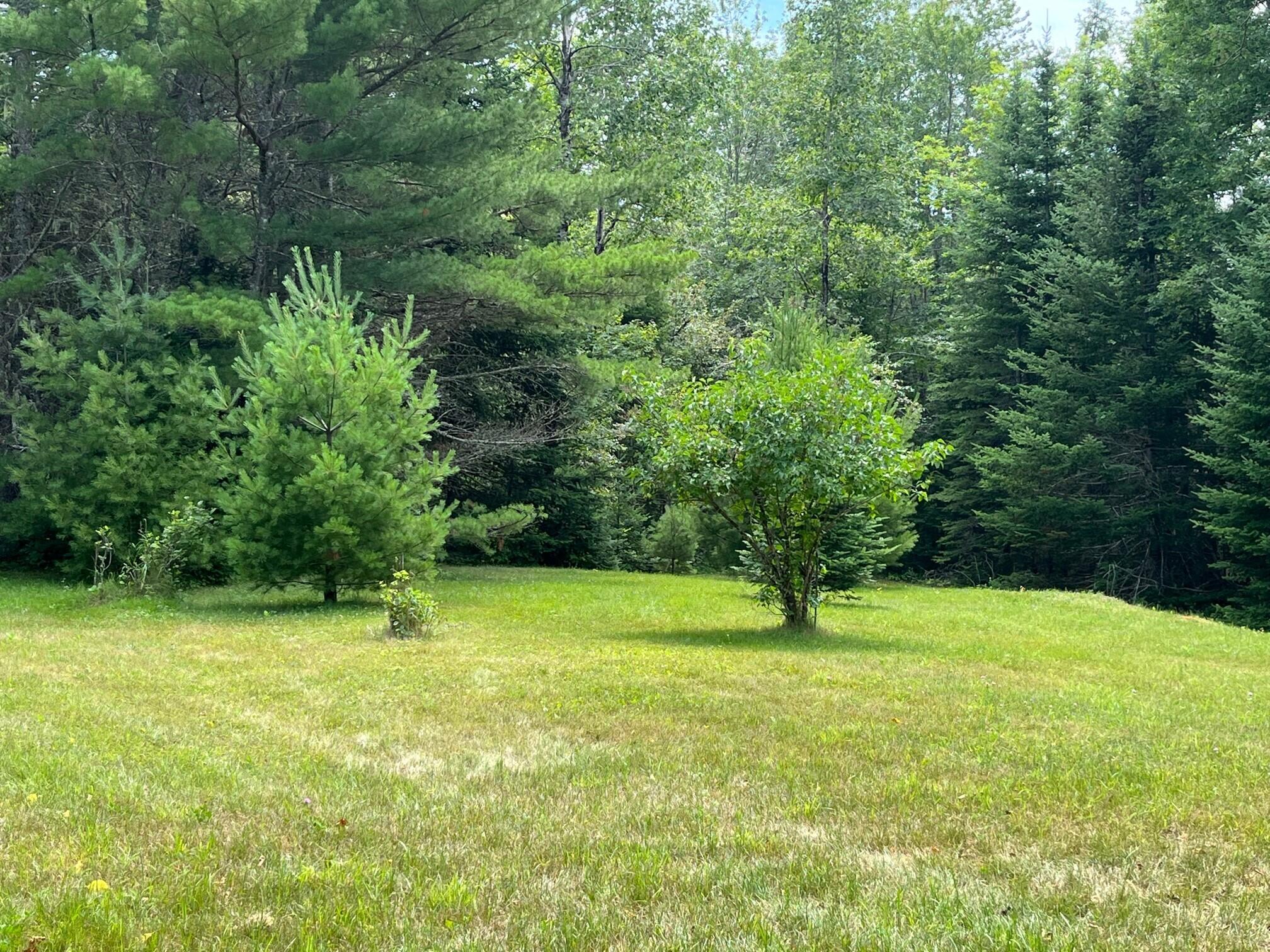 1014 Great Pond Road Aurora, ME 04408 - Photo 12 of 19 McVay12