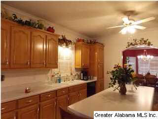 103 Hickory Ridge Road Oneonta, AL 35121 - Photo 9 of 24