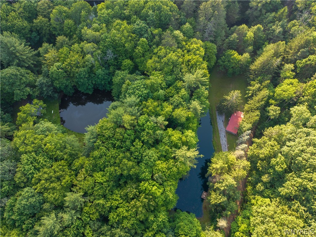 9173 Lyman Road Clarksville, NY 14727 - Photo 7 of 48 Drone
