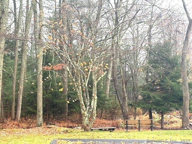 54 Rope Ferry Road, Unit C55 Waterford, CT 06385 - Photo 29 of 31