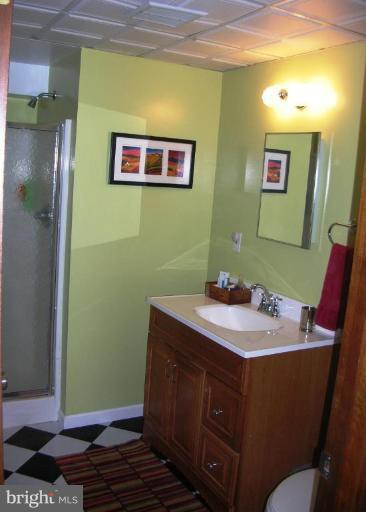 4307 Zircon Road Middletown, MD 21769 - Photo 18 of 30 Bath #2