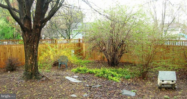 4307 Zircon Road Middletown, MD 21769 - Photo 26 of 30 Garden
