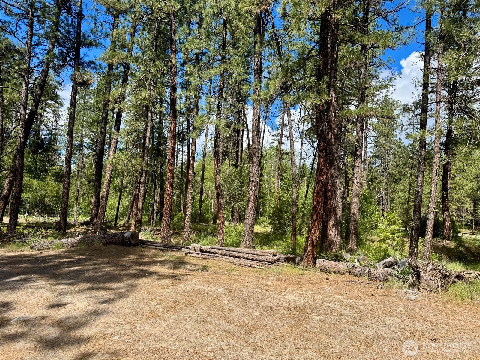 92 Silver Creek Road Keller, WA 99140 - Photo 16 of 29 Gallery Image 16