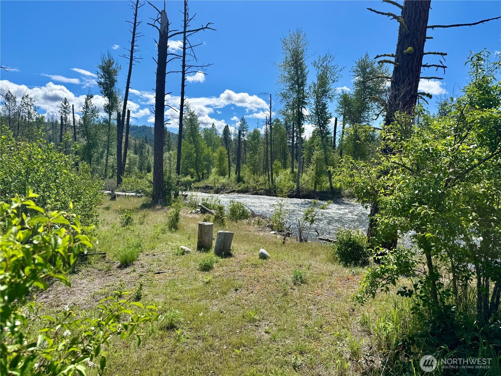 92 Silver Creek Road Keller, WA 99140 - Photo 2 of 29 Gallery Image 2