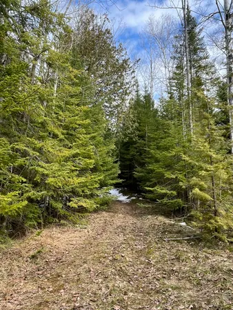 $499,000 | 4010 Lake Shore Drive, Charlevoix, MI 49720