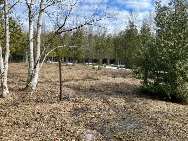 $499,000 | 4010 Lake Shore Drive, Charlevoix, MI 49720