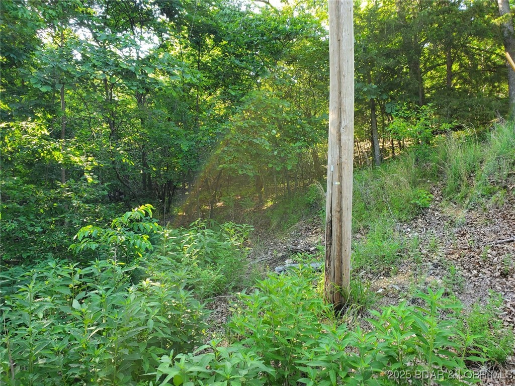 Alcorn Hollow Road Roach, MO 65787 - Photo 2 of 5