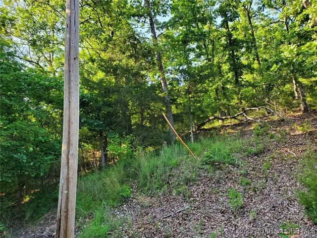 $26,300 | Alcorn Hollow Road, Roach, MO 65787