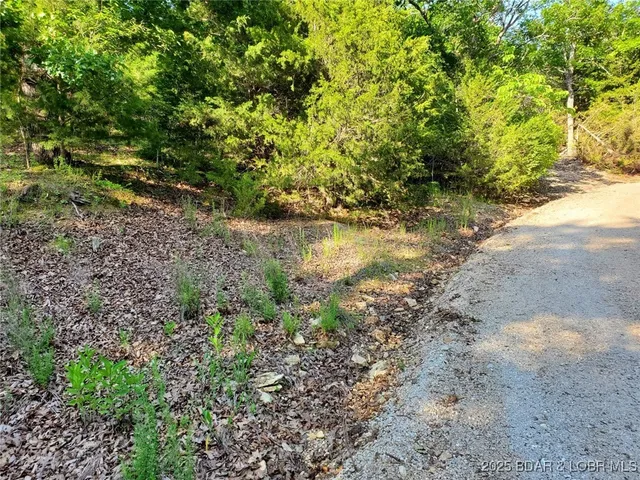 $26,300 | Alcorn Hollow Road, Roach, MO 65787